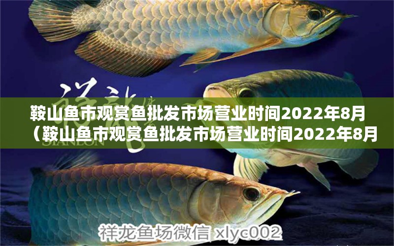 鞍山鱼市观赏鱼批发市场营业时间2022年8月（鞍山鱼市观赏鱼批发市场营业时间2022年8月12日）