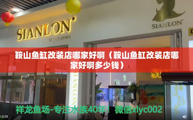 鞍山鱼缸改装店哪家好啊（鞍山鱼缸改装店哪家好啊多少钱）