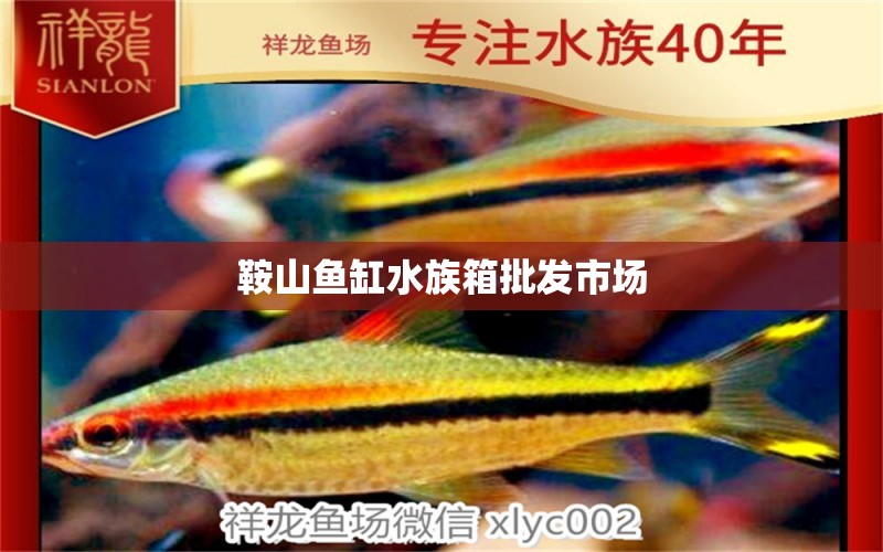 鞍山鱼缸水族箱批发市场