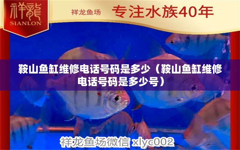 鞍山鱼缸维修电话号码是多少（鞍山鱼缸维修电话号码是多少号） 其他品牌鱼缸