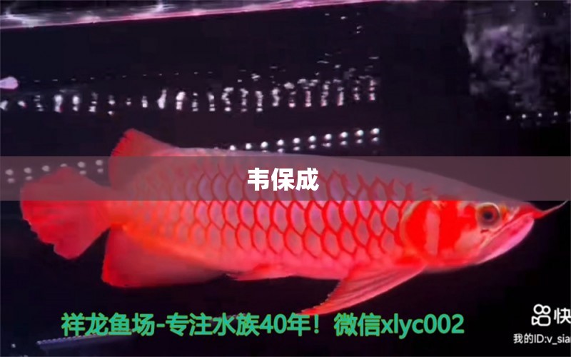 韦保成  全国水族馆企业名录 第1张