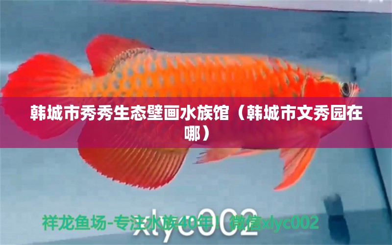 韩城市秀秀生态壁画水族馆（韩城市文秀园在哪） 全国水族馆企业名录