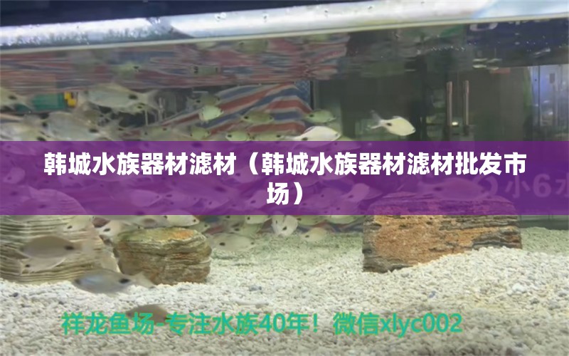 韩城水族器材滤材（韩城水族器材滤材批发市场）