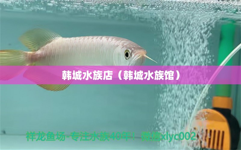 韩城水族店（韩城水族馆） 观赏鱼市场