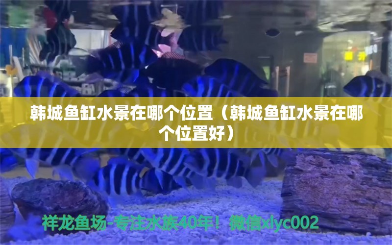 韩城鱼缸水景在哪个位置（韩城鱼缸水景在哪个位置好）