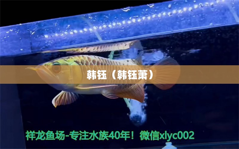 韩钰（韩钰萧） 全国水族馆企业名录