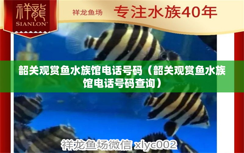 韶关观赏鱼水族馆电话号码（韶关观赏鱼水族馆电话号码查询） 祥龙水族医院