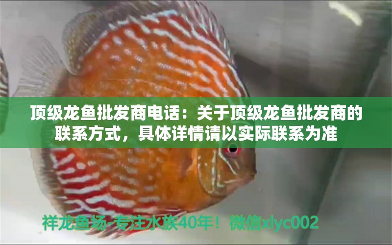 顶级龙鱼批发商电话：关于顶级龙鱼批发商的联系方式，具体详情请以实际联系为准 水族问答 第2张