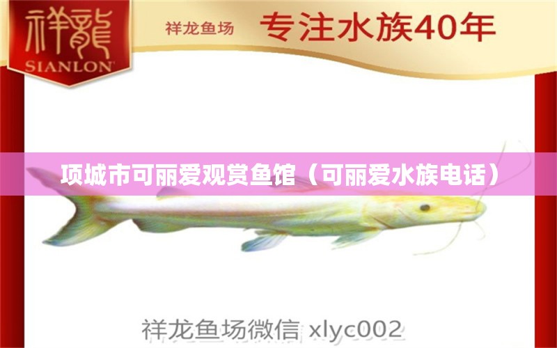 项城市可丽爱观赏鱼馆（可丽爱水族电话） 全国水族馆企业名录