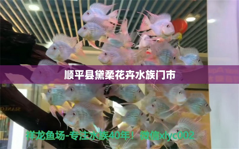 顺平县黛柔花卉水族门市