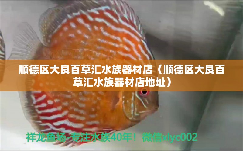 顺德区大良百草汇水族器材店（顺德区大良百草汇水族器材店地址）