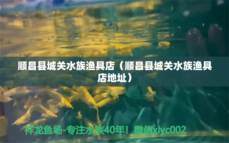 顺昌县城关水族渔具店（顺昌县城关水族渔具店地址）