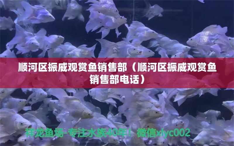 顺河区振威观赏鱼销售部（顺河区振威观赏鱼销售部电话）