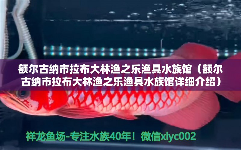 额尔古纳市拉布大林渔之乐渔具水族馆（额尔古纳市拉布大林渔之乐渔具水族馆详细介绍） 全国观赏鱼市场 第2张