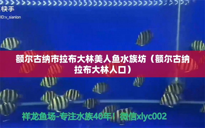 额尔古纳市拉布大林美人鱼水族坊（额尔古纳拉布大林人口）