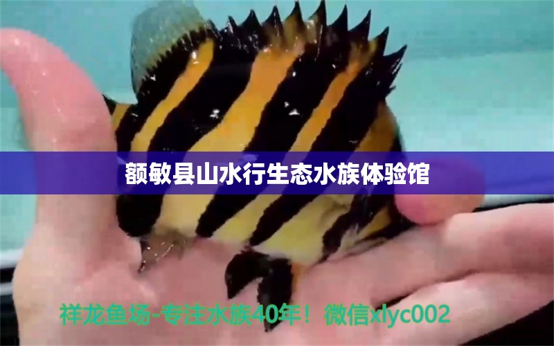 额敏县山水行生态水族体验馆