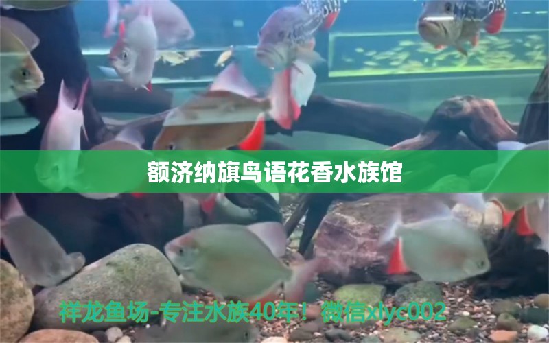 额济纳旗鸟语花香水族馆