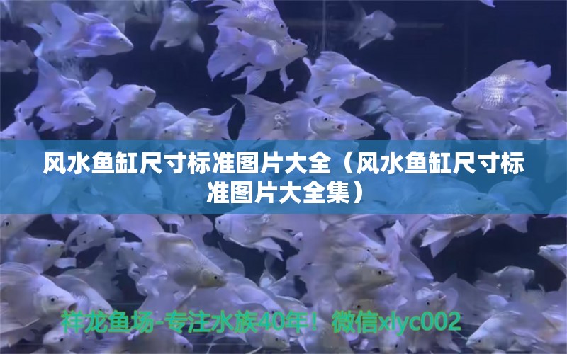 风水鱼缸尺寸标准图片大全（风水鱼缸尺寸标准图片大全集）