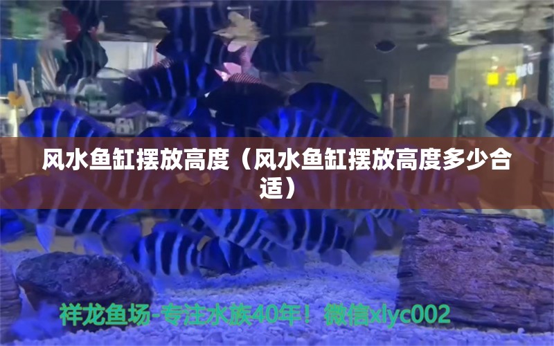 风水鱼缸摆放高度（风水鱼缸摆放高度多少合适） 龙鱼百科