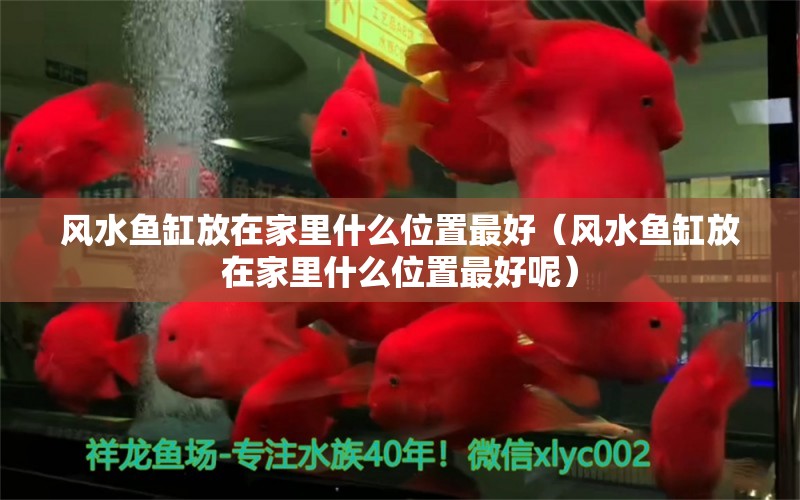 风水鱼缸放在家里什么位置最好（风水鱼缸放在家里什么位置最好呢） 鱼缸风水