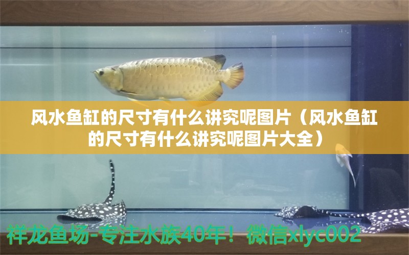 风水鱼缸的尺寸有什么讲究呢图片（风水鱼缸的尺寸有什么讲究呢图片大全）