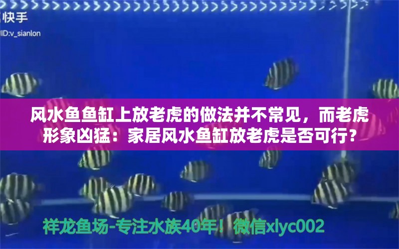 风水鱼鱼缸上放老虎的做法并不常见，而老虎形象凶猛：家居风水鱼缸放老虎是否可行？