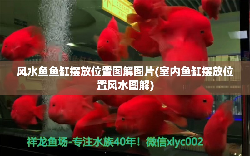 风水鱼鱼缸摆放位置图解图片(室内鱼缸摆放位置风水图解) 鱼缸风水 第1张