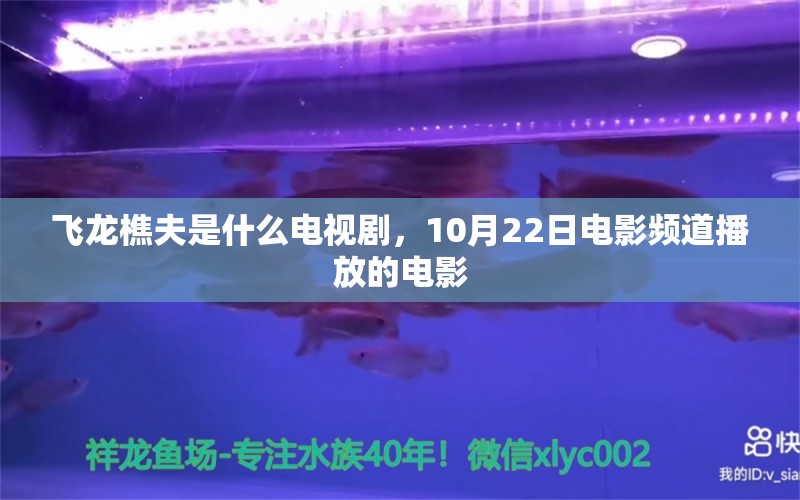 飞龙樵夫是什么电视剧，10月22日电影频道播放的电影