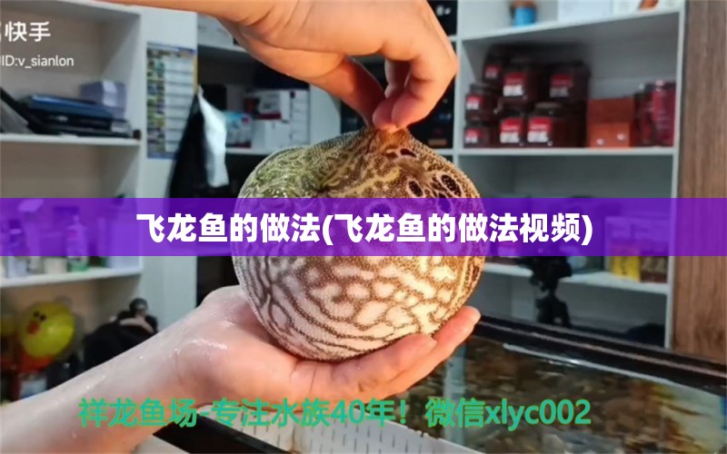 飞龙鱼的做法(飞龙鱼的做法视频) 白子银龙鱼苗