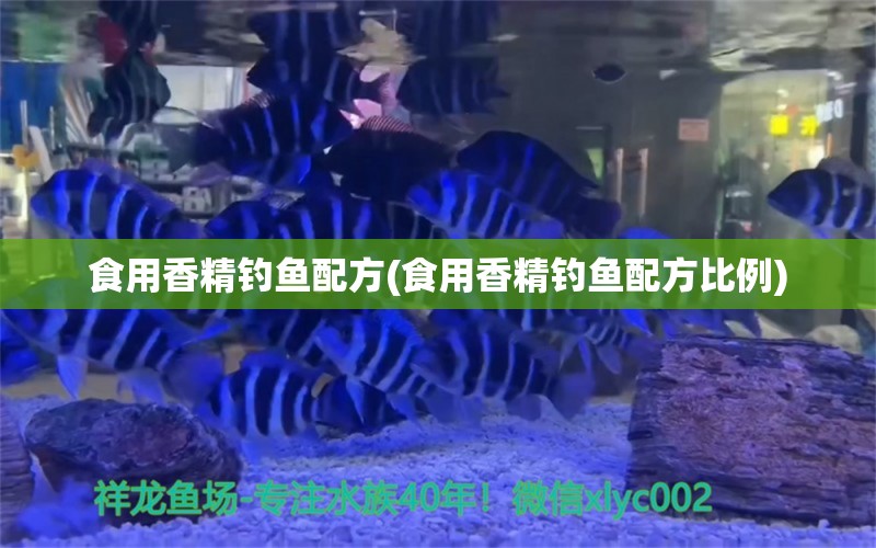 食用香精钓鱼配方(食用香精钓鱼配方比例) 垂钓乐园