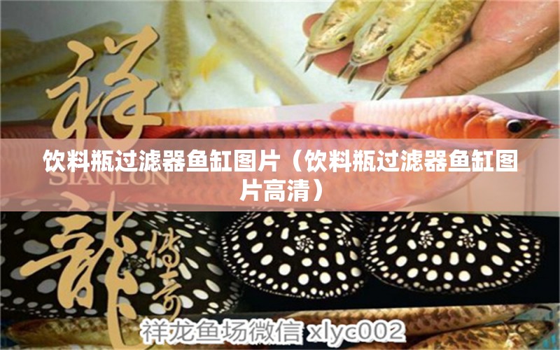 饮料瓶过滤器鱼缸图片（饮料瓶过滤器鱼缸图片高清） 祥龙水族医院