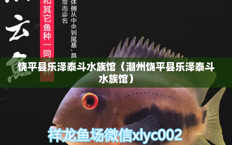 饶平县乐泽泰斗水族馆（潮州饶平县乐泽泰斗水族馆） 全国观赏鱼市场 第2张