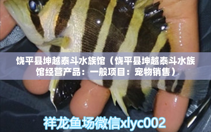 饶平县坤越泰斗水族馆（饶平县坤越泰斗水族馆经营产品：一般项目：宠物销售） 全国观赏鱼市场 第1张