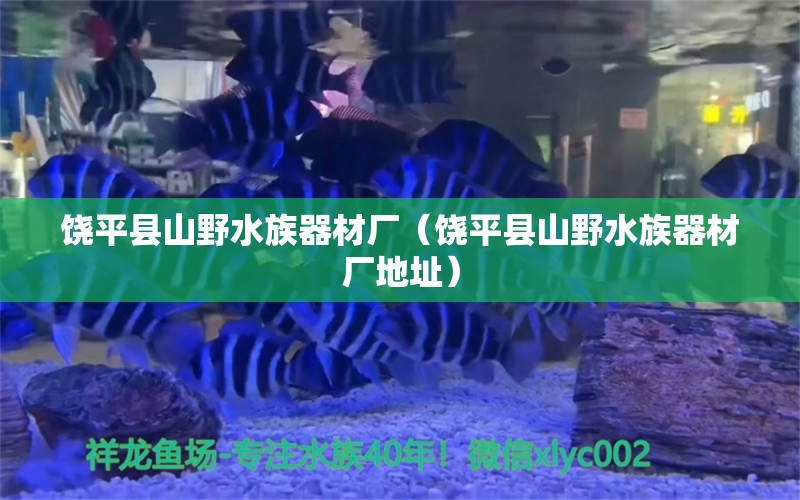 饶平县山野水族器材厂（饶平县山野水族器材厂地址） 全国水族馆企业名录