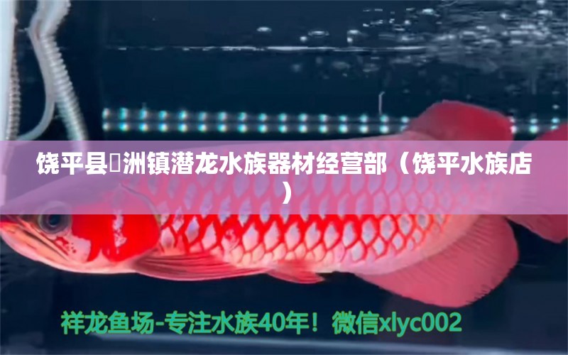 饶平县汫洲镇潜龙水族器材经营部（饶平水族店） 全国水族馆企业名录