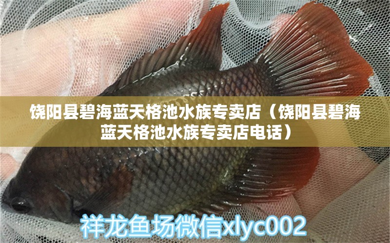 饶阳县碧海蓝天格池水族专卖店（饶阳县碧海蓝天格池水族专卖店电话） 全国水族馆企业名录