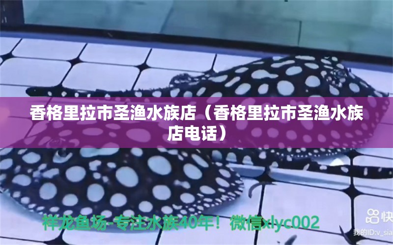 香格里拉市圣渔水族店（香格里拉市圣渔水族店电话） 全国水族馆企业名录 第1张