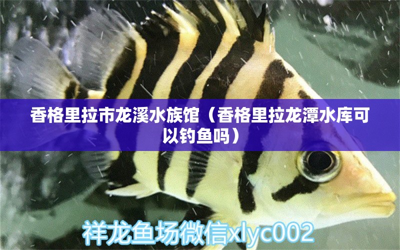 香格里拉市龙溪水族馆（香格里拉龙潭水库可以钓鱼吗）