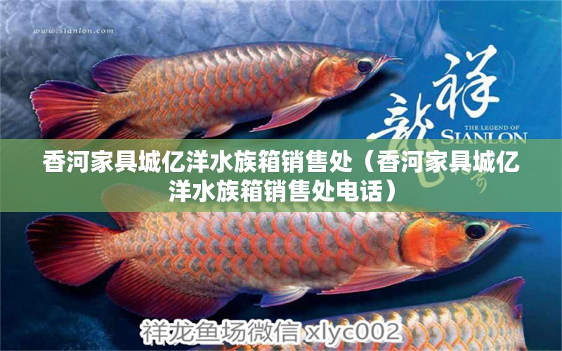 香河家具城亿洋水族箱销售处（香河家具城亿洋水族箱销售处电话） 鱼缸/水族箱