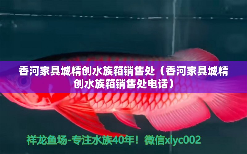 香河家具城精创水族箱销售处（香河家具城精创水族箱销售处电话） 鱼缸/水族箱