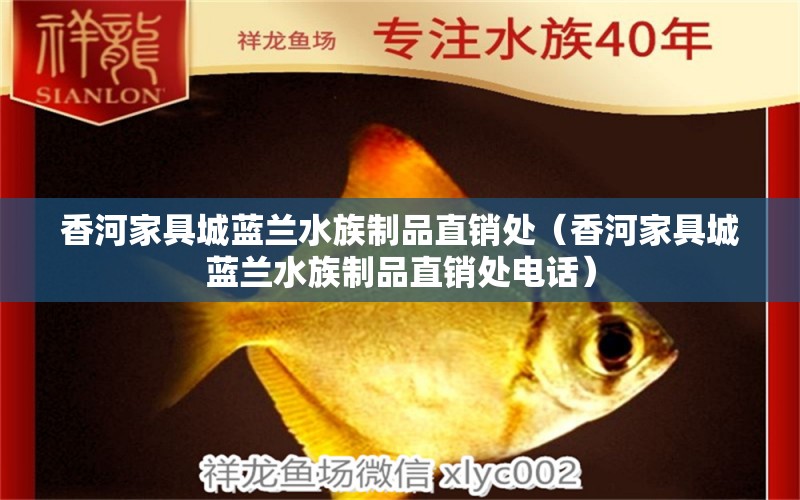 香河家具城蓝兰水族制品直销处（香河家具城蓝兰水族制品直销处电话） 全国水族馆企业名录