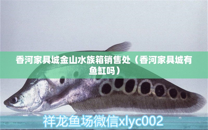 香河家具城金山水族箱销售处（香河家具城有鱼缸吗） 鱼缸/水族箱