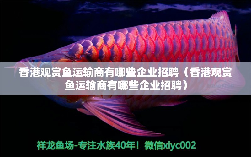 香港观赏鱼运输商有哪些企业招聘（香港观赏鱼运输商有哪些企业招聘）