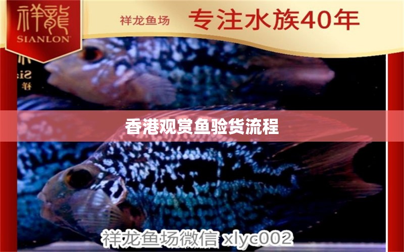 香港观赏鱼验货流程
