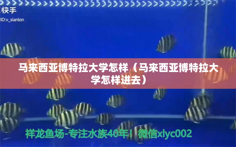 马来西亚博特拉大学怎样（马来西亚博特拉大学怎样进去）