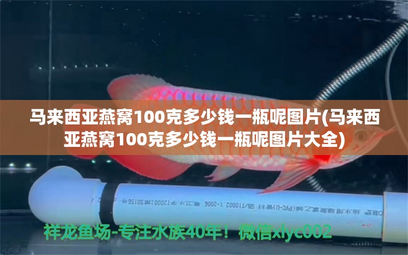 马来西亚燕窝100克多少钱一瓶呢图片(马来西亚燕窝100克多少钱一瓶呢图片大全)