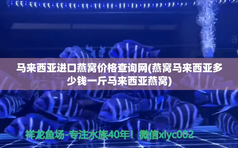 马来西亚进口燕窝价格查询网(燕窝马来西亚多少钱一斤马来西亚燕窝)