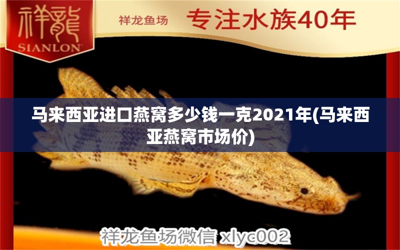 马来西亚进口燕窝多少钱一克2021年(马来西亚燕窝市场价) 马来西亚燕窝 第1张