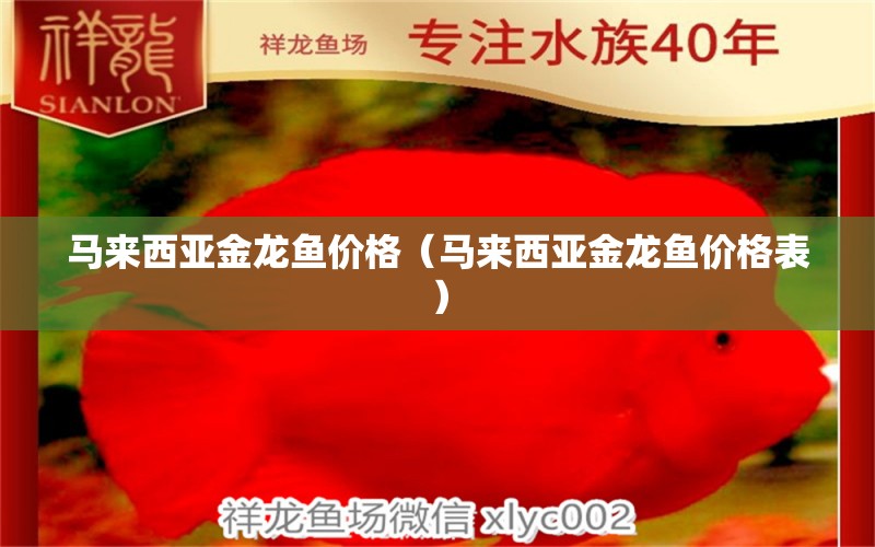 马来西亚金龙鱼价格（马来西亚金龙鱼价格表） 广州龙鱼批发市场