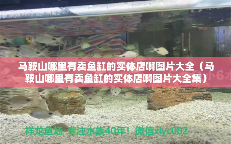 马鞍山哪里有卖鱼缸的实体店啊图片大全（马鞍山哪里有卖鱼缸的实体店啊图片大全集） 祥龙水族医院